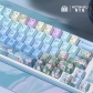 Daisy 104+34 / 54 MDA / Cherry / MCA Profile 4-sided Clear Keycap Set Cherry MX PBT Dye-subbed for Keyboard